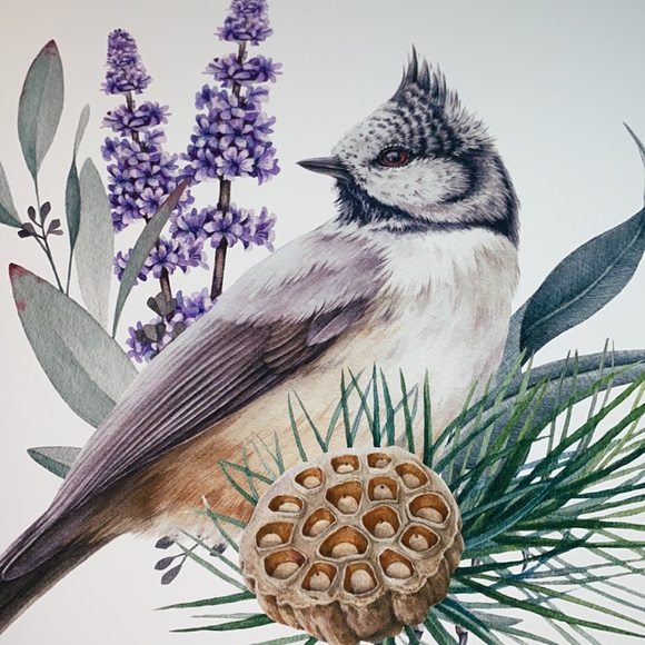 Watercolor Wall Art Print Crested Tit Illustration Unframed - Picture 11 of 17